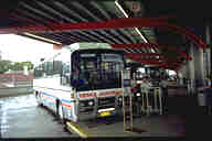 MC Cafferthys Bus